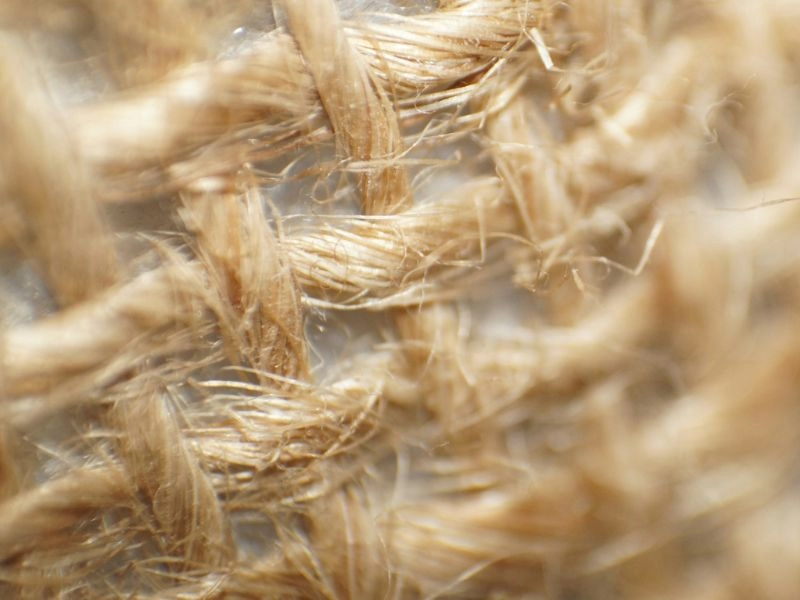 Fibras textiles naturales vegetales