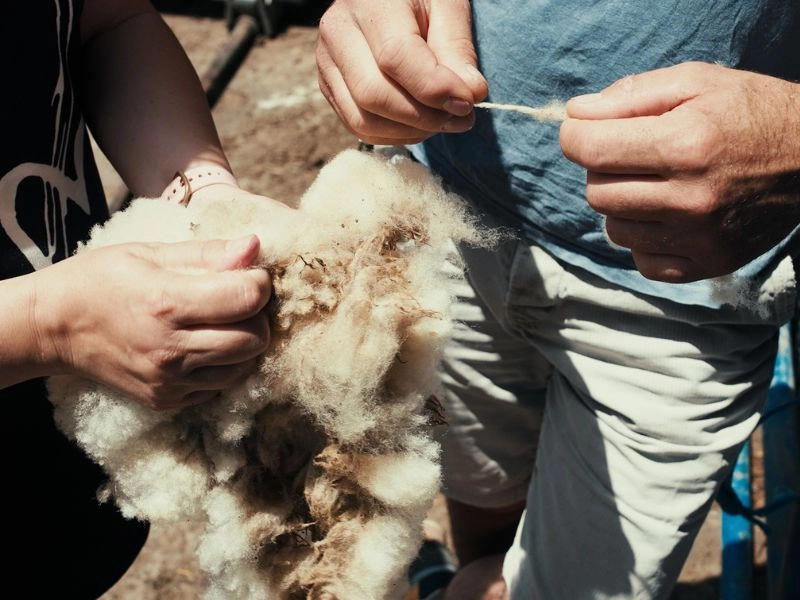 International Wool Month